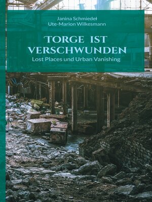 cover image of Torge ist verschwunden